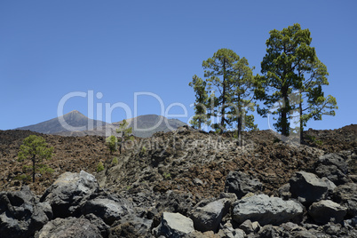 Pico del Teide und Pico Viejo, Teneriffa