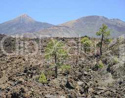 Pico del Teide und Pico Viejo, Teneriffa