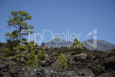 Pico del Teide und Pico Viejo, Teneriffa