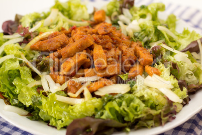 Salat mit gebratenen Tofustreifen_01
