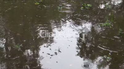 Raindrops falling on a puddle in the Park