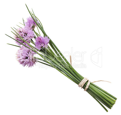 Chives With Flowers