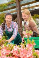 Gardener woman advising customer buying plants