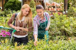 Garden center worker give advice to customer