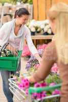 Customer woman shopping for flowers garden center