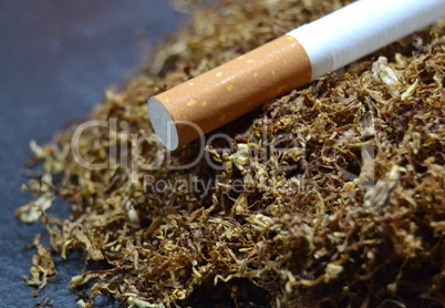 Cigarette on Snuff to rolling on black background