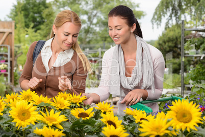 Two woman choose sunflowers in garden center