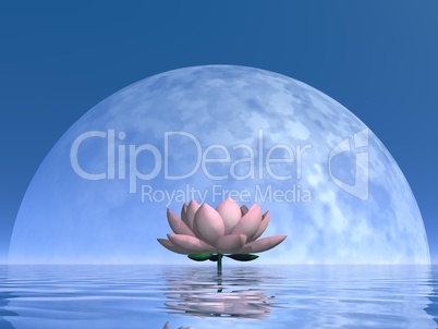 Lily flower by night - 3D render