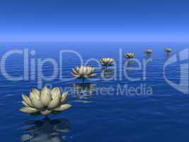 Water lilies steps - 3D render