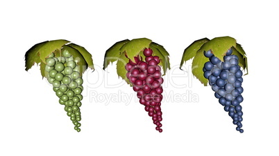 Set of grapes - 3D render