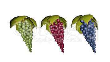 Set of grapes - 3D render