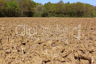 Agricultural land