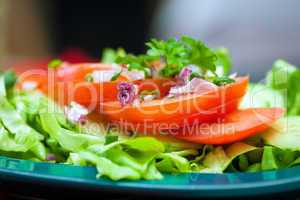 Tomatoes and salad closeup plate