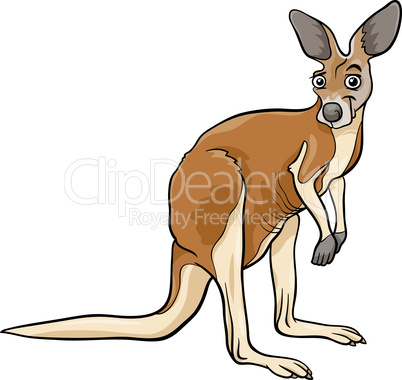 kangaroo animal cartoon illustration