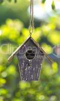 Bird House in Summer Sunshine & Green Leaves