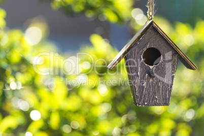 Bird House in Summer Sunshine & Green Leaves