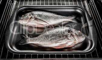 Dorado fish in the oven.