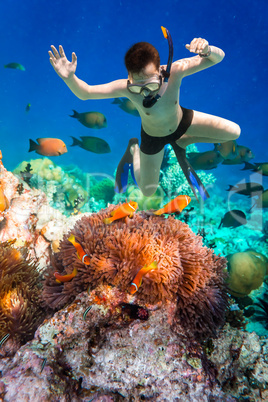 Snorkeler Maldives Indian Ocean coral reef.