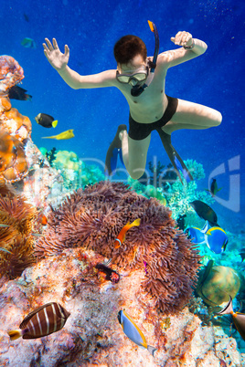 Snorkeler Maldives Indian Ocean coral reef.