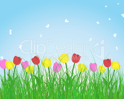 Summer meadow background with tulips