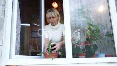 Woman planting a houseplant into clay pot on the windowsill