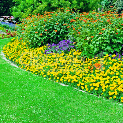 Beautiful flowerbed in summer park