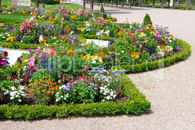 delightful flower bed in the summer park