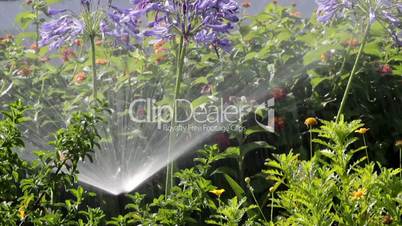 Garden Irrigation Spray watering flower bed
