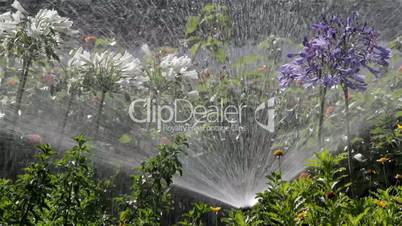 Garden Irrigation Spray watering flower bed