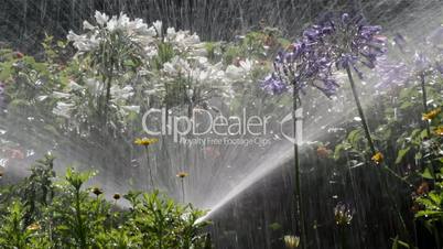 Garden Irrigation Spray watering flower bed