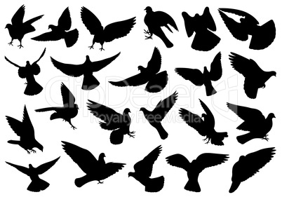 Set of different doves