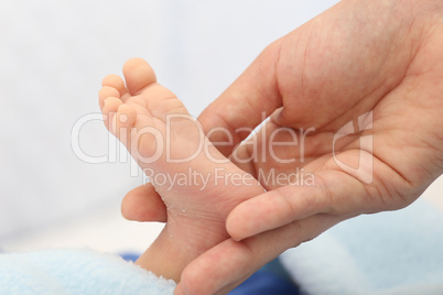 Hands holding a baby foot