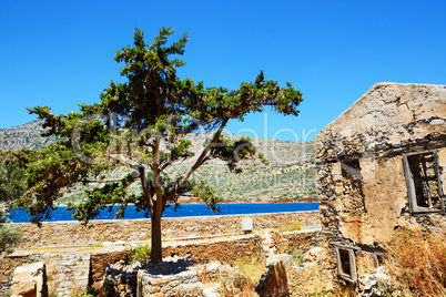 The building and tree on Spinalonga Island, Crete, Greece