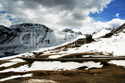 Parco dello Stelvio