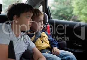 Boys looking out the car window