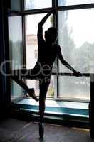 Ballet dancer exercising at the barre by the window