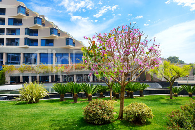 The lawn with blooming tree and building of luxury hotel, Antaly