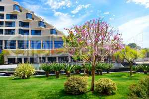 The lawn with blooming tree and building of luxury hotel, Antaly