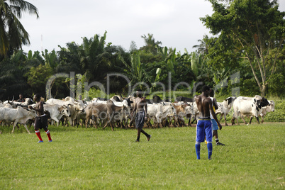 African soccer team during training