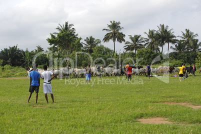 African soccer team during training