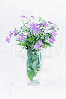 Violet wild flowers in a glass vase