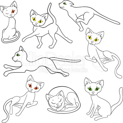 Eight contours of funny cats