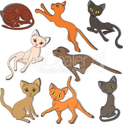 Eight colorful funny cats on a white background