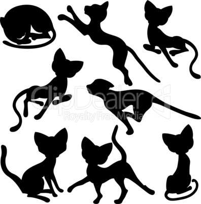 Eight silhouettes of funny cats
