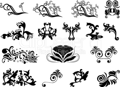 Set of black silhouettes of floral elements over white