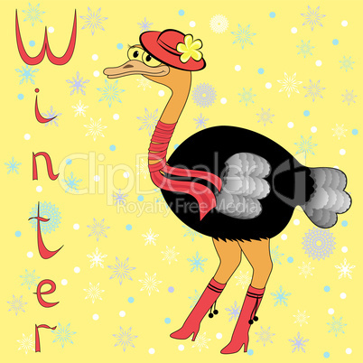 Why Ostrich is so cold in winter?