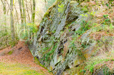 Felswand im Wald