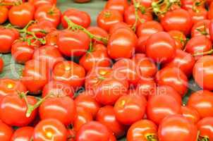 Tomaten zum Verkauf