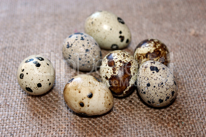 eggs of the quail on the fabric with sacking