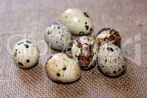 eggs of the quail on the fabric with sacking
